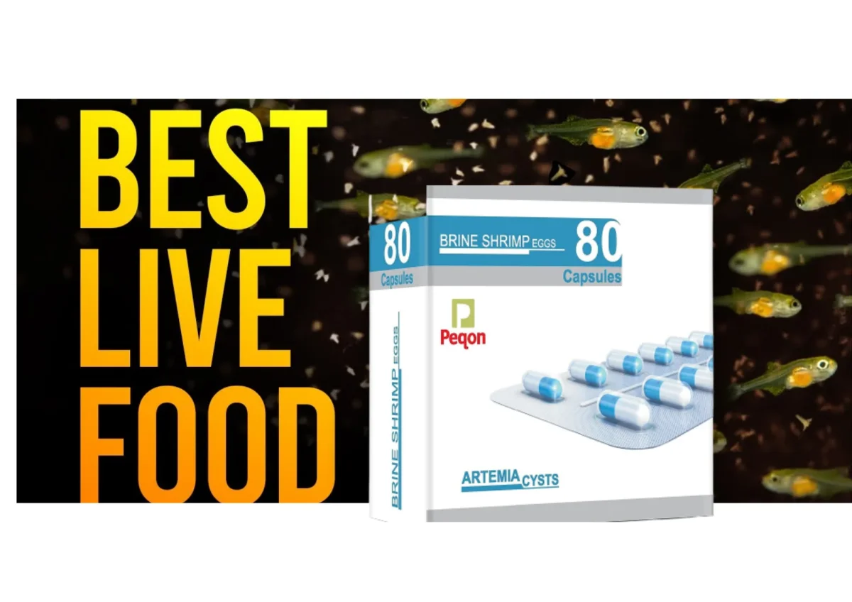 Peqon Artemia Cysts (Brine Shrimp Eggs) - 80 Capsule - Made in USA with 90% Hatching Rate - Bild 8