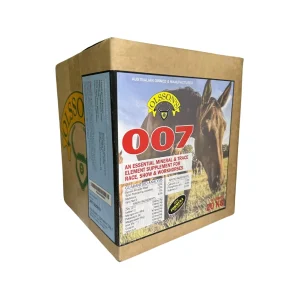 BLOCK HORSE 007 20KG (D3)