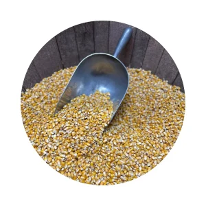 CORN WHOLE MAIZE PER KG (M3)