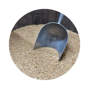 WHEAT WHOLE PER KG