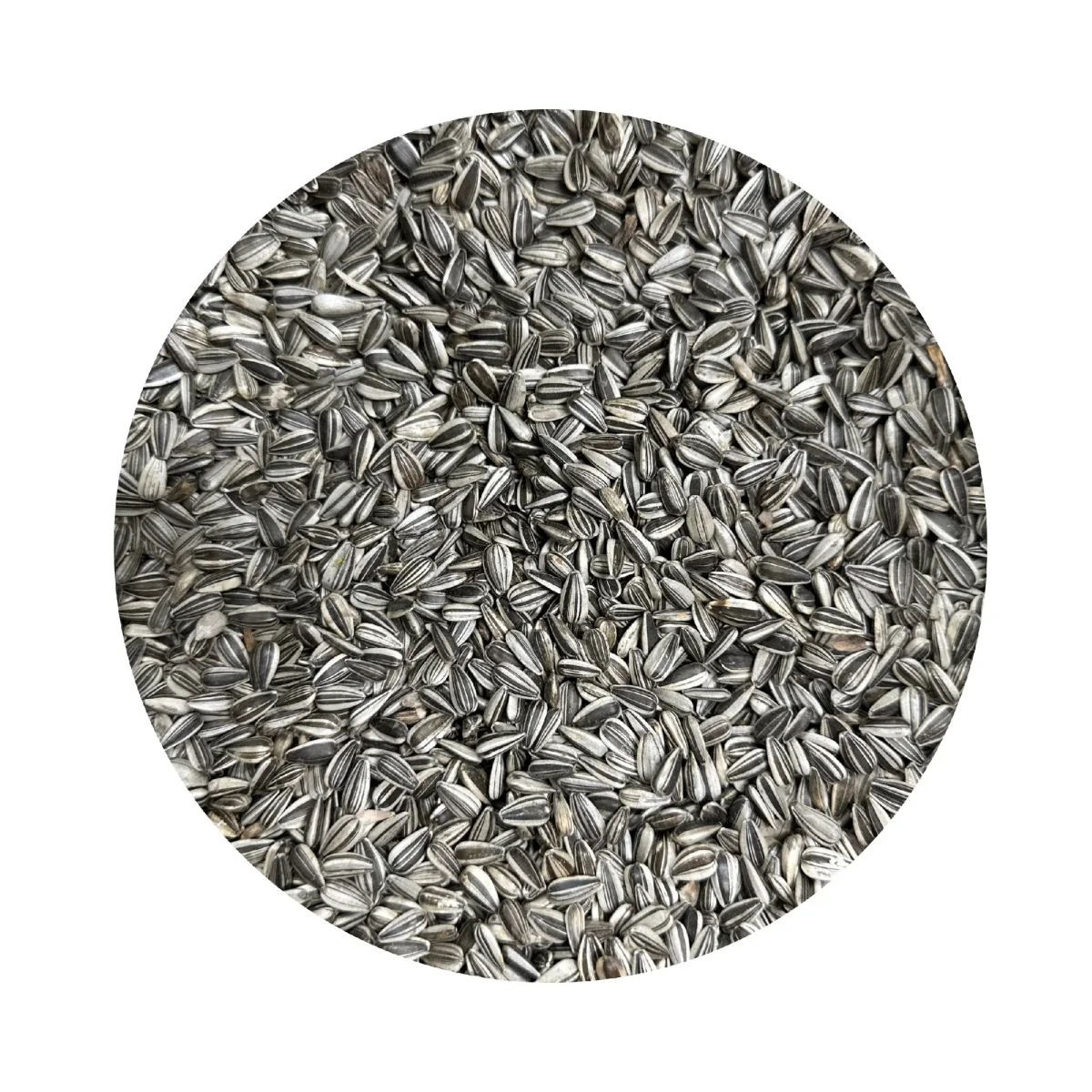 SUNFLOWER GREY STRIPE PER KG - Bild 2