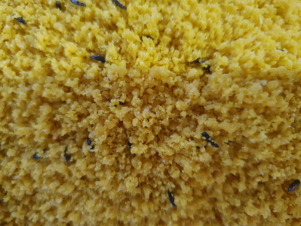 Yellow Rul Eggfood ( with honey )
