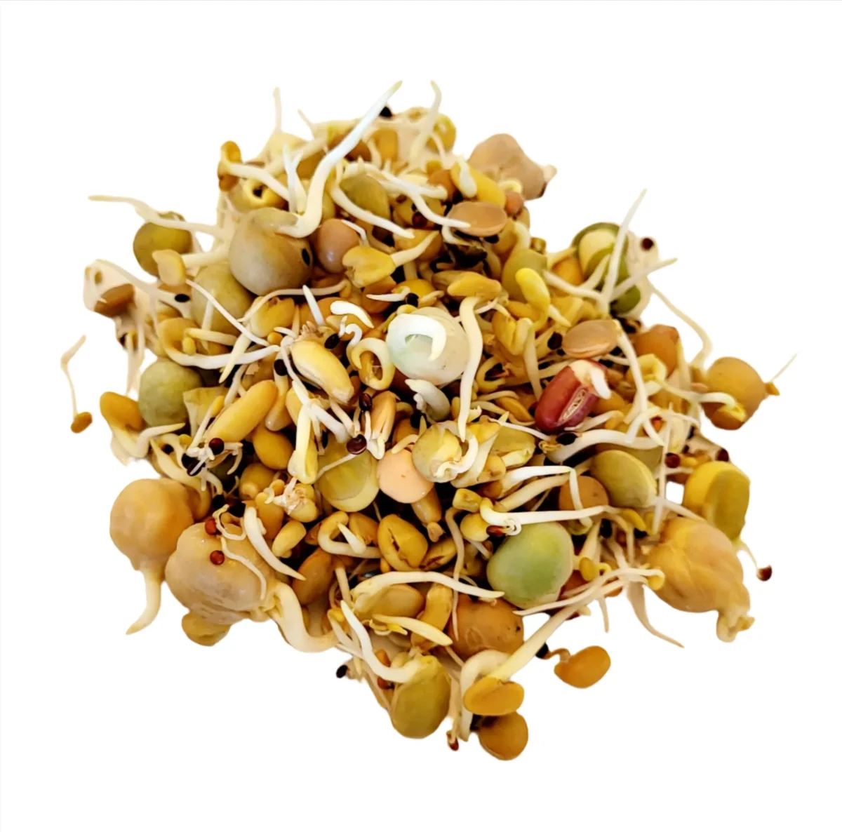 Organic Sprout Mix - No Sunflower - 500g - Bild 4