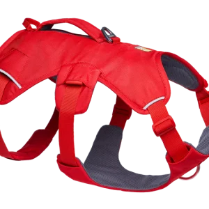 Web Master Dog Harness with Handle from Ruffwear