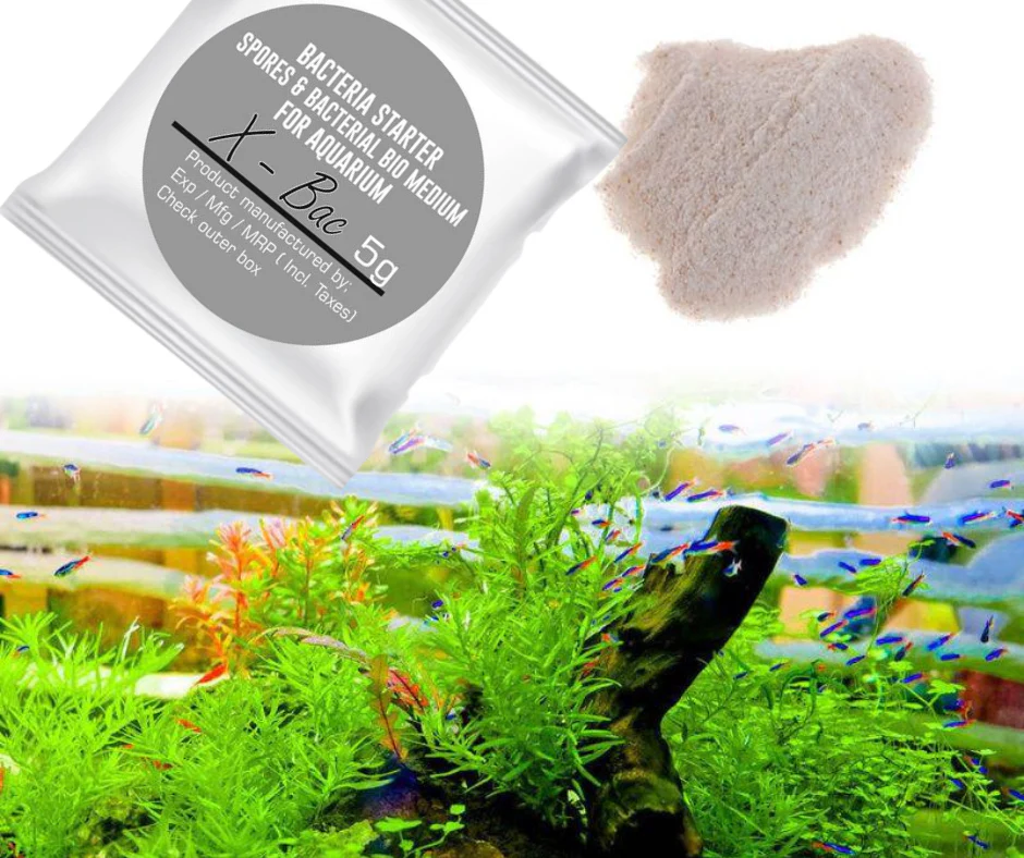Aquatic Remedies X-Bac Beneficial Bacteria For Aquarium 5g Pack of 5 - Bild 4
