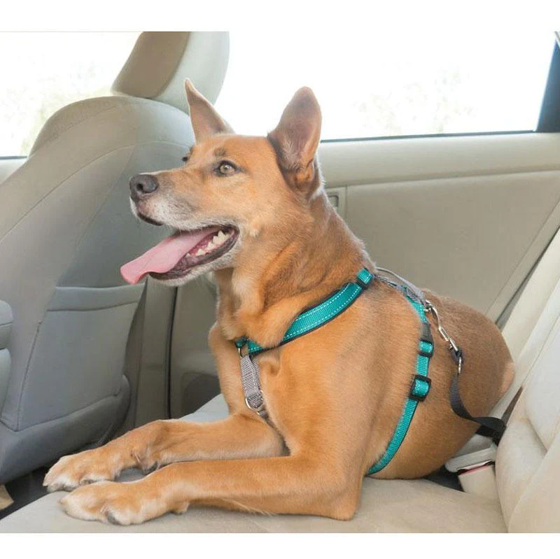 PetSafe 3 in 1 Multi-Function, No-Pull Harness Plus Car Control! - Bild 6