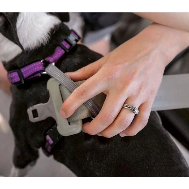 PetSafe 3 in 1 Multi-Function, No-Pull Harness Plus Car Control! - Bild 4