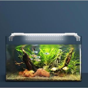 PetzLifeworld Ultra Slim and Thin White Frame Full Spectrum SL-60 | 17 Watts | Suitable for 55-65 Cm Tank | 2 Feet Aquarium Fish Tank LED Light