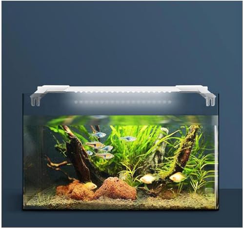 PetzLifeworld Ultra Slim and Thin White Frame Full Spectrum SL-60 | 17 Watts | Suitable for 55-65 Cm Tank | 2 Feet Aquarium Fish Tank LED Light - Bild 2