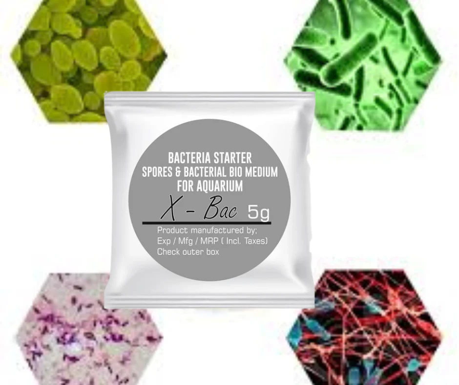 Aquatic Remedies X-Bac Beneficial Bacteria For Aquarium 5g Pack of 5 - Bild 5