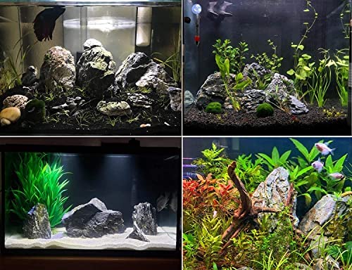 Petzlifeworld Premium Seiryu Rock – Natural River Rock for Aquascaping, Terrariums & Freshwater Aquariums - Bild 9