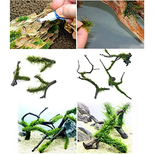 Petzlifeworld (2 Pcs) Instant Elephant Glue For Rock, Driftwood, Aquarium Plants Aquascaping Tool 10Gm (5Gm X 2) - Bild 5