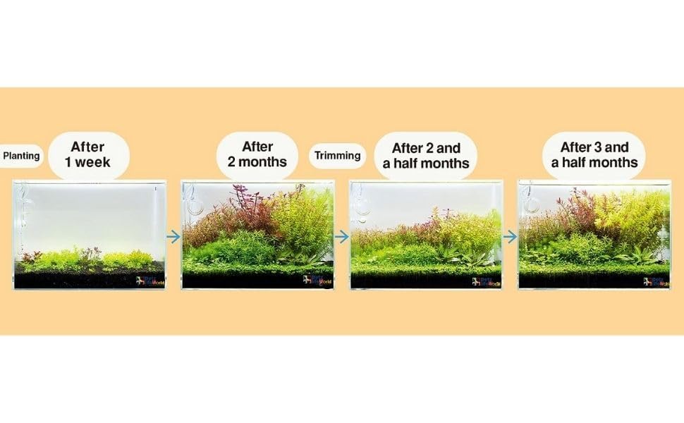 Petzlifeworld Aquarium Soil Substrate Gravel Sand for Planted Live Plants Fish Tank Freshwater - Bild 9