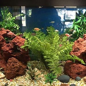 Red Lava Stone for Aquarium, Natural Volcanic Rock Landscape Decorations Fish Tank
