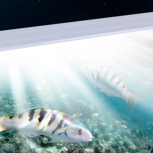RS-T600 Suits for 50-60cm Tank Aquarium Ultra Thin Design Fish Light (Blue+White)