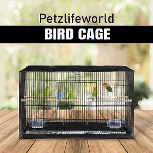 PetzLifeworld 1.5 Feet (18 Inch ) Small Birds Cage Birds Cage For Budgies, Finches, Love Birds, Cocktails, Conures & All Small Birds With Free Hanging Toys