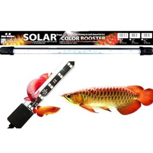 Neo Helios Solar Colour Booster Submersible LED Light for Aquarium Fish Tank | Enhance Fish Colour | High Brighness ST 260-26Cm | Suitable for 1 Feet Tank