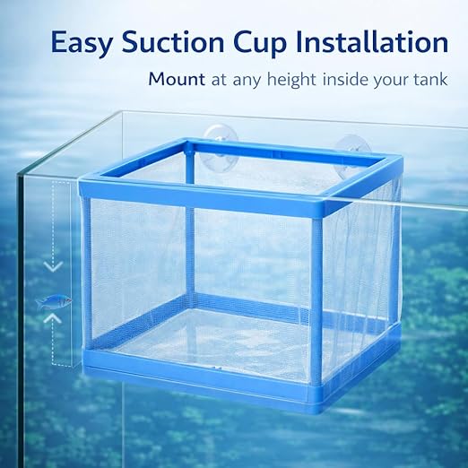petzlifeworld FS-01 Fish Tank Breeder Net Box with Suction Cups | Blue Mesh Fry Saver for Aquarium | Isolation Box for Baby, Injured & Aggressive Fish - Bild 3