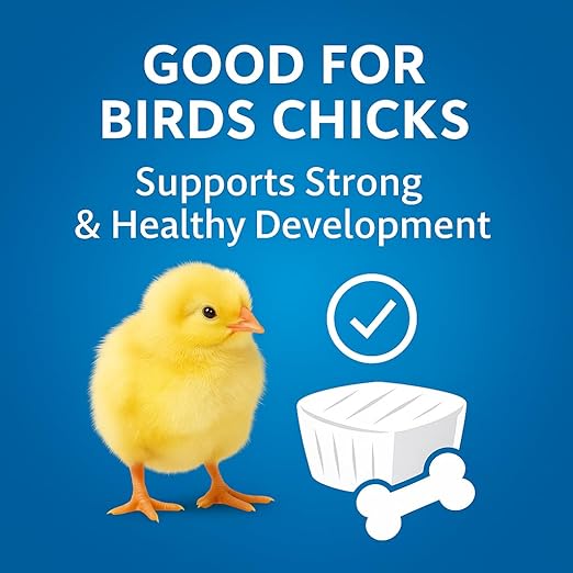Birds Healthy Raise Breed Daily Natural Minerals Specially Soft Calcium Block, 50G (Pack of 2) for All Kind of Birds - All Life Stages by Petzlifeworld - Bild 4