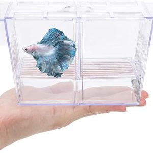 Chicos Double Long Guppy Fish Breeding Tank Fish Hatchery Acrylic FH-101