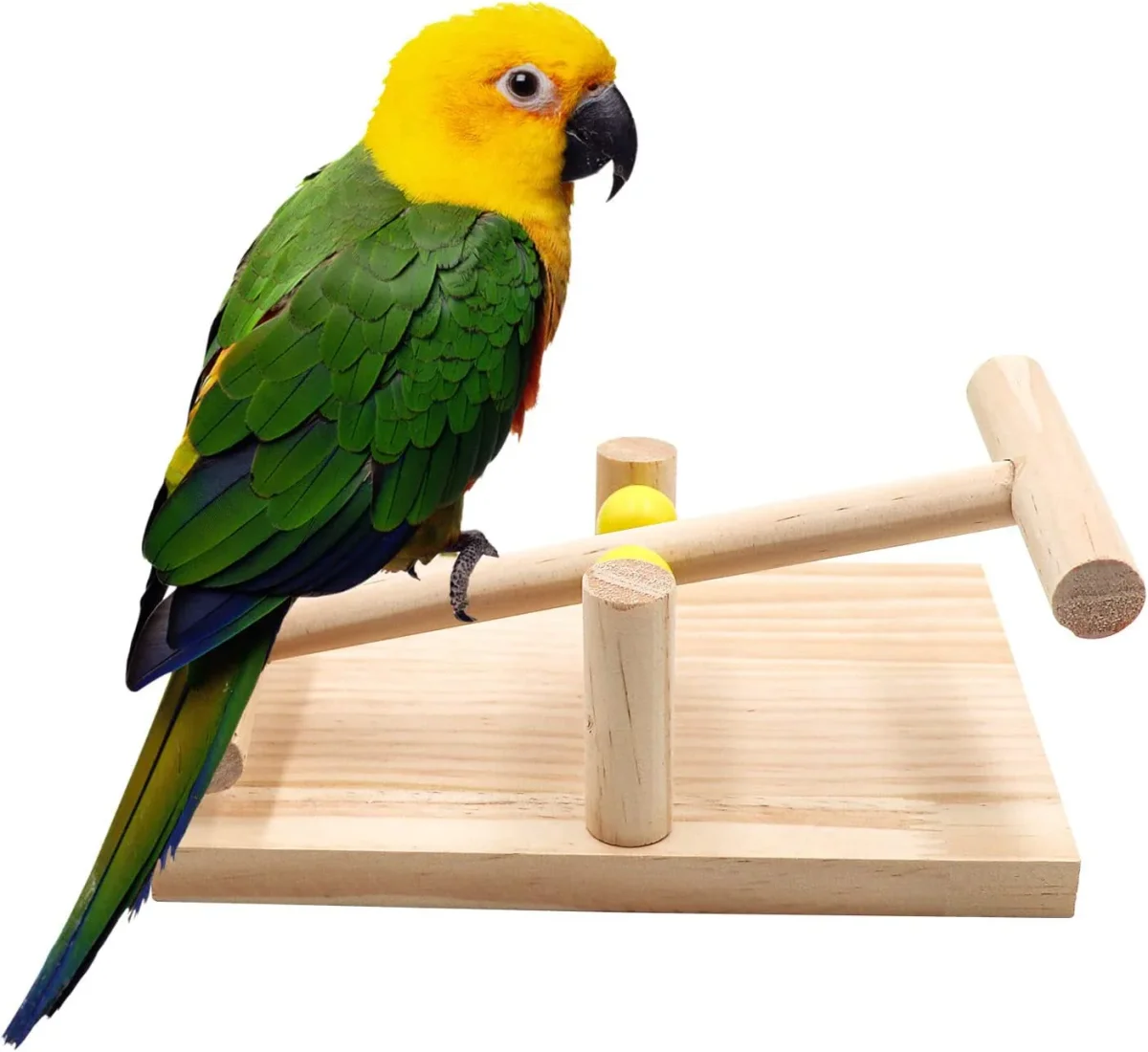 Petzlifeworld Birds Cage Natural Wooden Perch Seesaw Toy for Parrot, Parakeet, Budgie, Cockatiel, Love Birds,.. etc - Bild 3