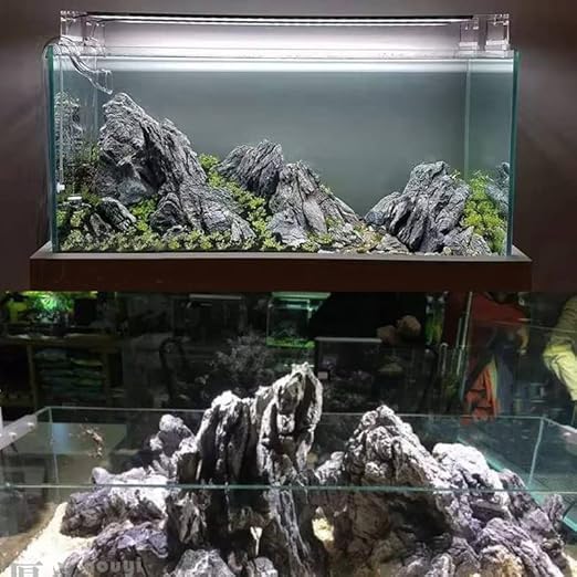 Petzlifeworld Premium Seiryu Rock – Natural River Rock for Aquascaping, Terrariums & Freshwater Aquariums - Bild 5