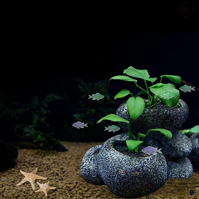 Petzlifeworld Multi-Function (F 950-M) Stone Bonsai Water Plant Pot Fish Tank Stone Decoration Cave for Fish Breeder Bonsai Shelter | Non-Toxic and Safe for Both Fish and Aquatic Plants - Bild 6