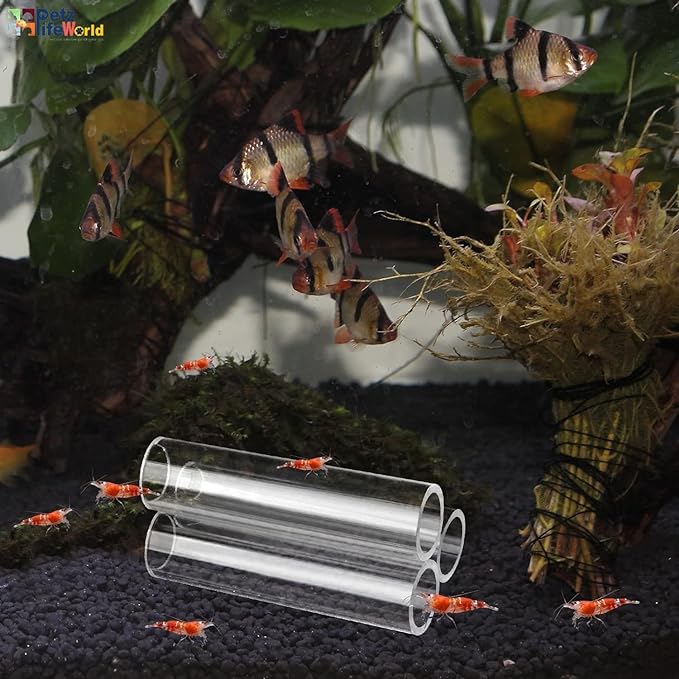 Petzlifeworld Three Hole Acrylic Shrimp,Pleco Fish Hiding Breeding Cave for Fish Tank Decoration | Reduce Stress and Encourage Spawning | Transparent | 3 * 5 * 3 CM - Bild 3
