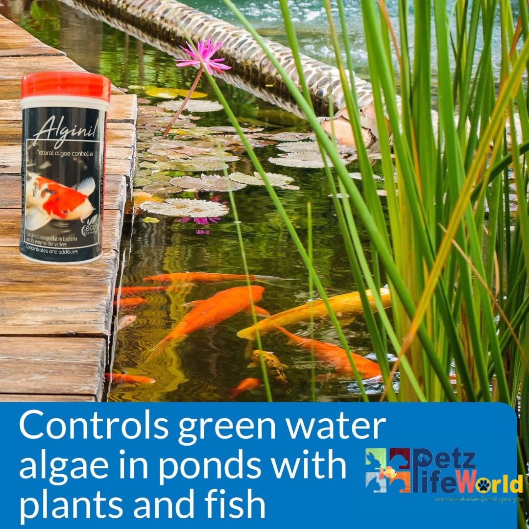Aquatic Remedies ALGI-NIL,100g | Natural Algae Controller for Koi, Tropical, Indoor, Gardening Pond - Bild 6