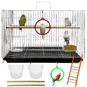 Petzlifeworld 2 Feet (24 Inch) Stainless Steel Birds Cage