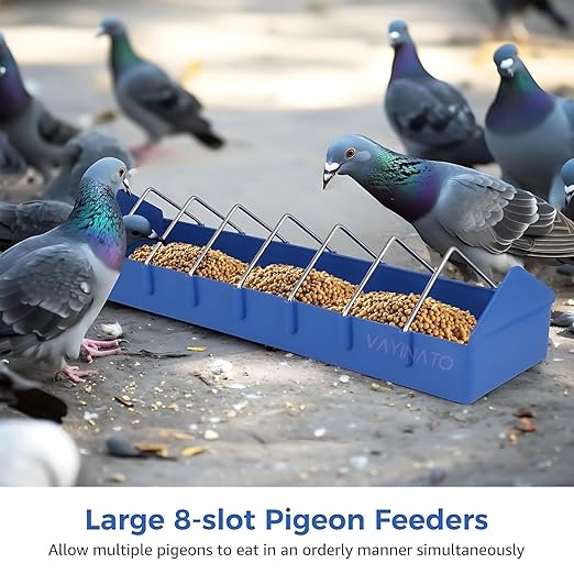 petzlifeworld Plastic Poultry Food Tray for Pigeon, Chicken and Pets Garden Outdoor Use Ground Bird Feeder (Blue),40 cm,H_5 cm,W_8 cm - Bild 3