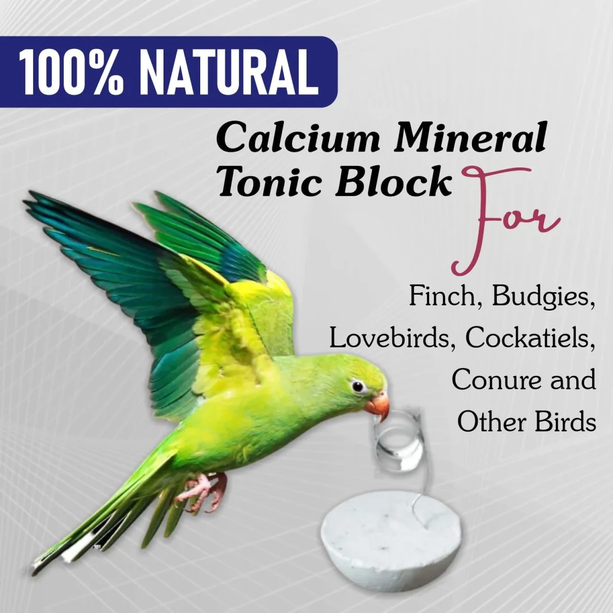 Petzlifeworld 12 Pcs Birds Natural Calcium Mineral Tonic Block for Finch, Budgies, Lovebirds, Cockatiels, Conure and Other Birds - Bild 4