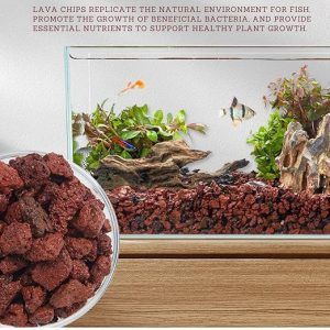 Petzlifeworld 5~8mm Natural Volcanic Red Lava Chips