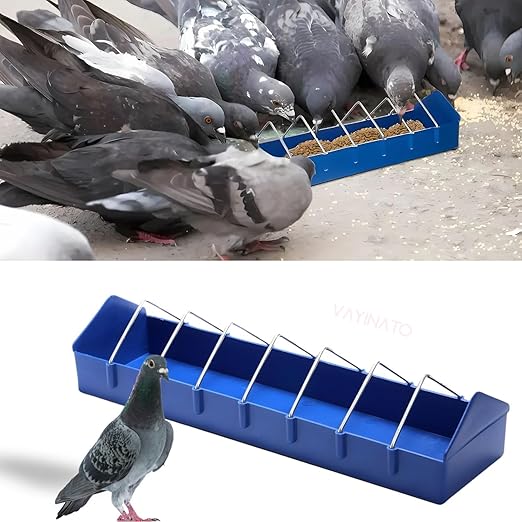 petzlifeworld Plastic Poultry Food Tray for Pigeon, Chicken and Pets Garden Outdoor Use Ground Bird Feeder (Blue),40 cm,H_5 cm,W_8 cm