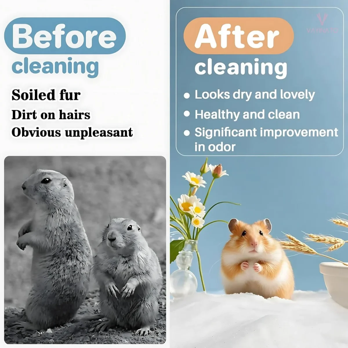 Petzlifeworld 1Kg Dust-Free Natural Flavour Bath Sand for Hamster Odor-Control Grooming Sand for Hamsters, Guinea Pigs, Gerbils & Chinchillas | Clean, Safe & Mess-Free Bathing - Bild 7