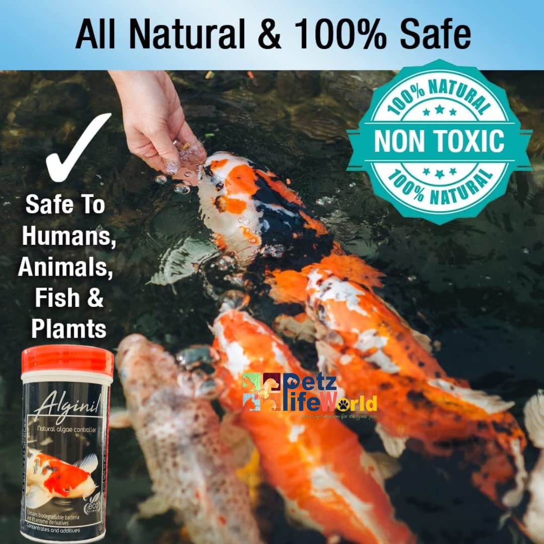 Aquatic Remedies ALGI-NIL,100g | Natural Algae Controller for Koi, Tropical, Indoor, Gardening Pond - Bild 5