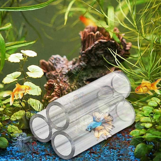 Petzlifeworld Three Hole Acrylic Shrimp,Pleco Fish Hiding Breeding Cave for Fish Tank Decoration | Reduce Stress and Encourage Spawning | Transparent | 3 * 5 * 3 CM - Bild 2