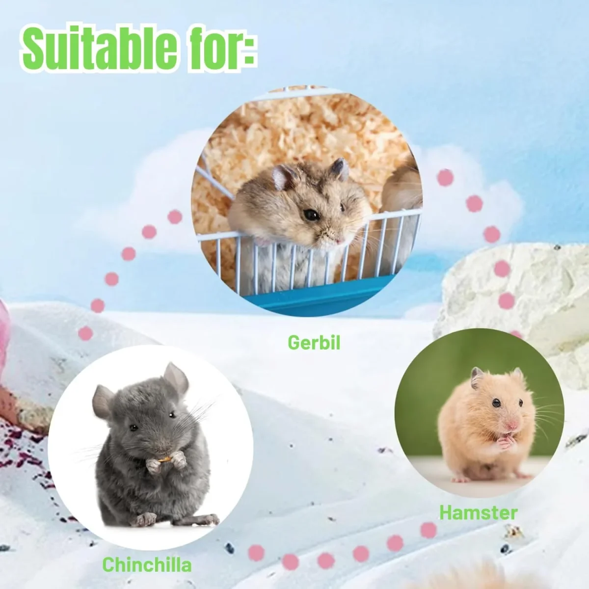 Petzlifeworld 1.2Kg Natural Silica Bath Sand for Hamster | Odor-Control Grooming Sand for Hamsters, Guinea Pigs, Gerbils & Chinchillas | Clean, Safe & Mess-Free Bathing - Bild 6