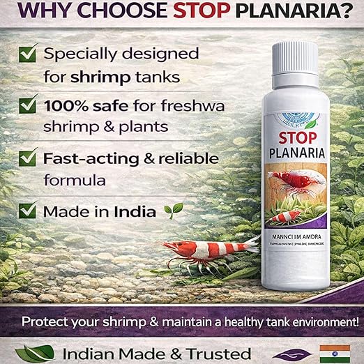 Aquatic Remedies Stop Planaria 60ml | Powerful Planaria Treatment for Shrimp Tanks | Plant & Shrimp Safe | Made in India - Bild 6