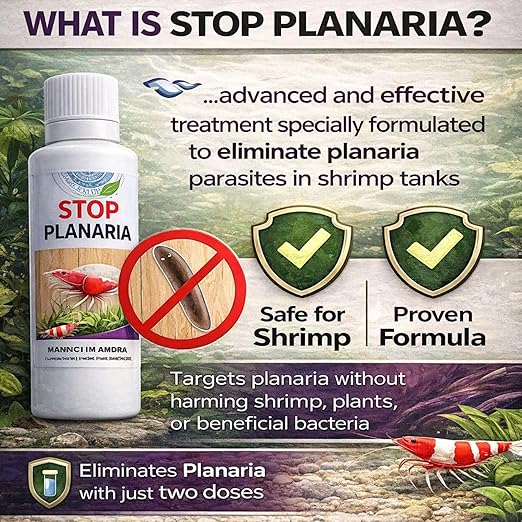 Aquatic Remedies Stop Planaria 60ml | Powerful Planaria Treatment for Shrimp Tanks | Plant & Shrimp Safe | Made in India - Bild 8