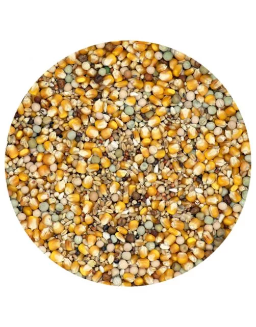 Classic Breeding & Moulting - Pigeon food - 5 kg - Versele-Laga - Bild 2