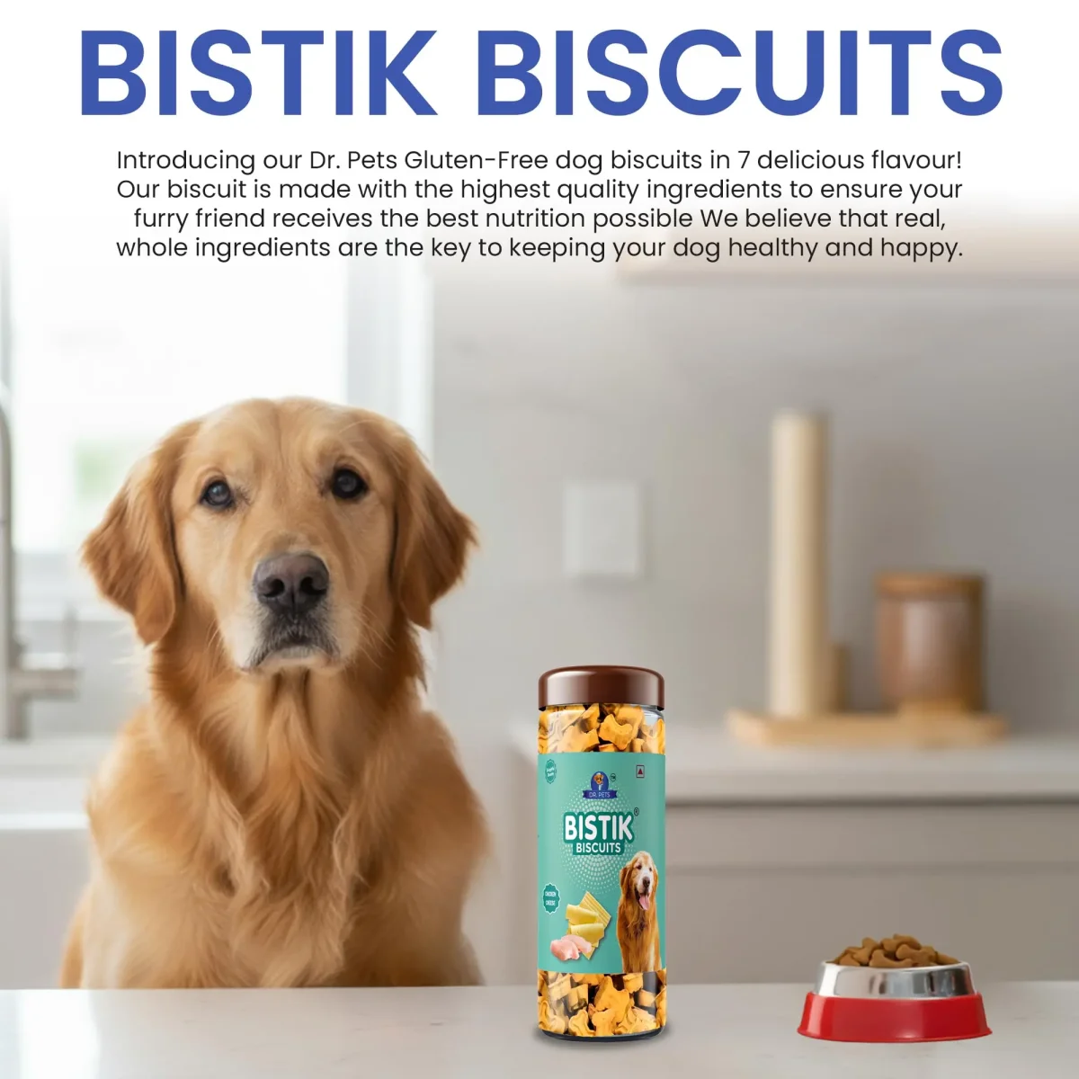 Dr.Pets Bistik Dog Food Treat - Dog Biscuits for Adult Dog & Puppy, Gluten Free Healthy Treats with Fresh & Natural Ingredients, Chicken Cheese Flavor 450g Each Pack of 2 - Bild 4
