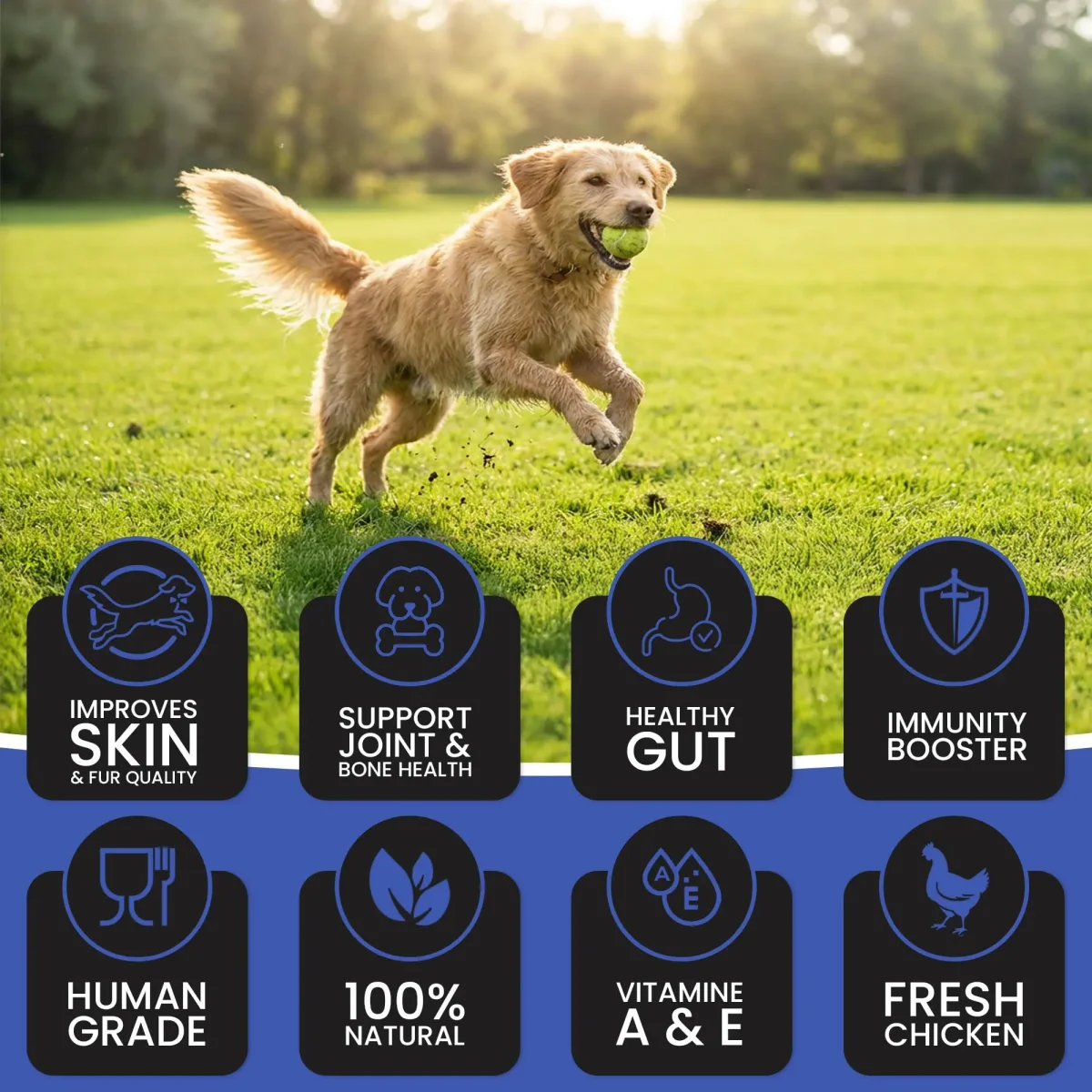 Dr.Pets Gluten & Preservative Free Dog Wet Food (Gravy) | Balanced Meal with High Protein Chicken & Liver Chunks for Adult Dogs & Puppies | No Added Sugar & Paraben | 85 g (Pack of 12) - Bild 9