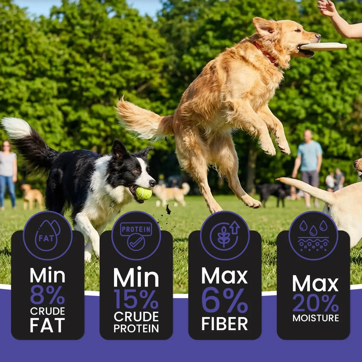 Dr.Pets Treetos Dog Food, Chicken Sticks for Dog Chew Stick for All Life Stages, Dog Treats for Adult Dog & Puppies, Gluten-Free, Soft & Chewy Texture, Blueberry Blast Flavor 85g Pack of 2 - Bild 8