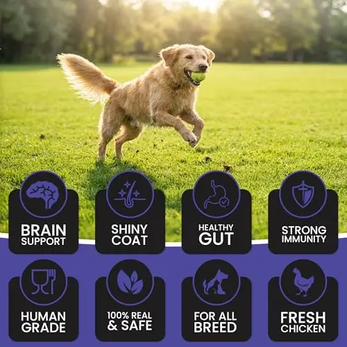 Dr.Pets Treetos Dog Food, Chicken Sticks for Dog Chew Stick for All Life Stages, Dog Treats for Adult Dog & Puppies, Gluten-Free, Soft & Chewy Texture, Blueberry Blast Flavor 85g Pack of 2 - Bild 9