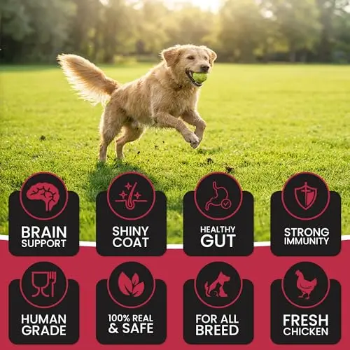 Dr.Pets Treetos Dog Food, Chicken Sticks for Dog Chew Stick for All Life Stages, Dog Treats for Adult Dog & Puppies, Gluten-Free, Soft & Chewy Texture, Chicken Pomegranate Flavor 70g Pack of 1 - Bild 8