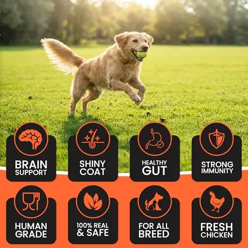 Dr.Pets Treetos Dog Food, Chicken Sticks for Dog Chew Stick for All Life Stages, Dog Treats for Adult Dog & Puppies, Gluten-Free, Soft & Chewy Texture, Mix Flavor 70g Pack of 1 - Bild 8