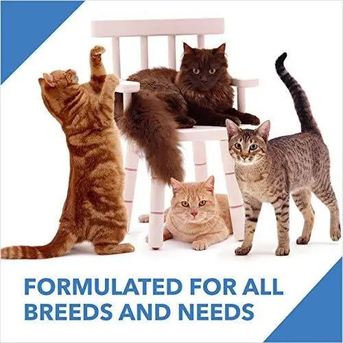 Drools Adult(+1 Year) Dry Cat Food, Mackerel, 3 kg - Bild 4