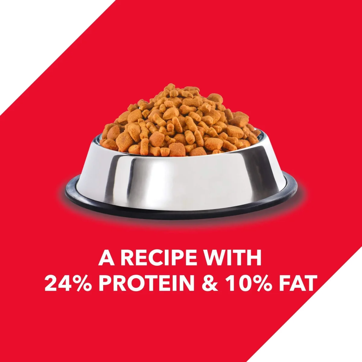 Drools Chicken and Egg Adult Dog Food, 3 kg - Bild 3