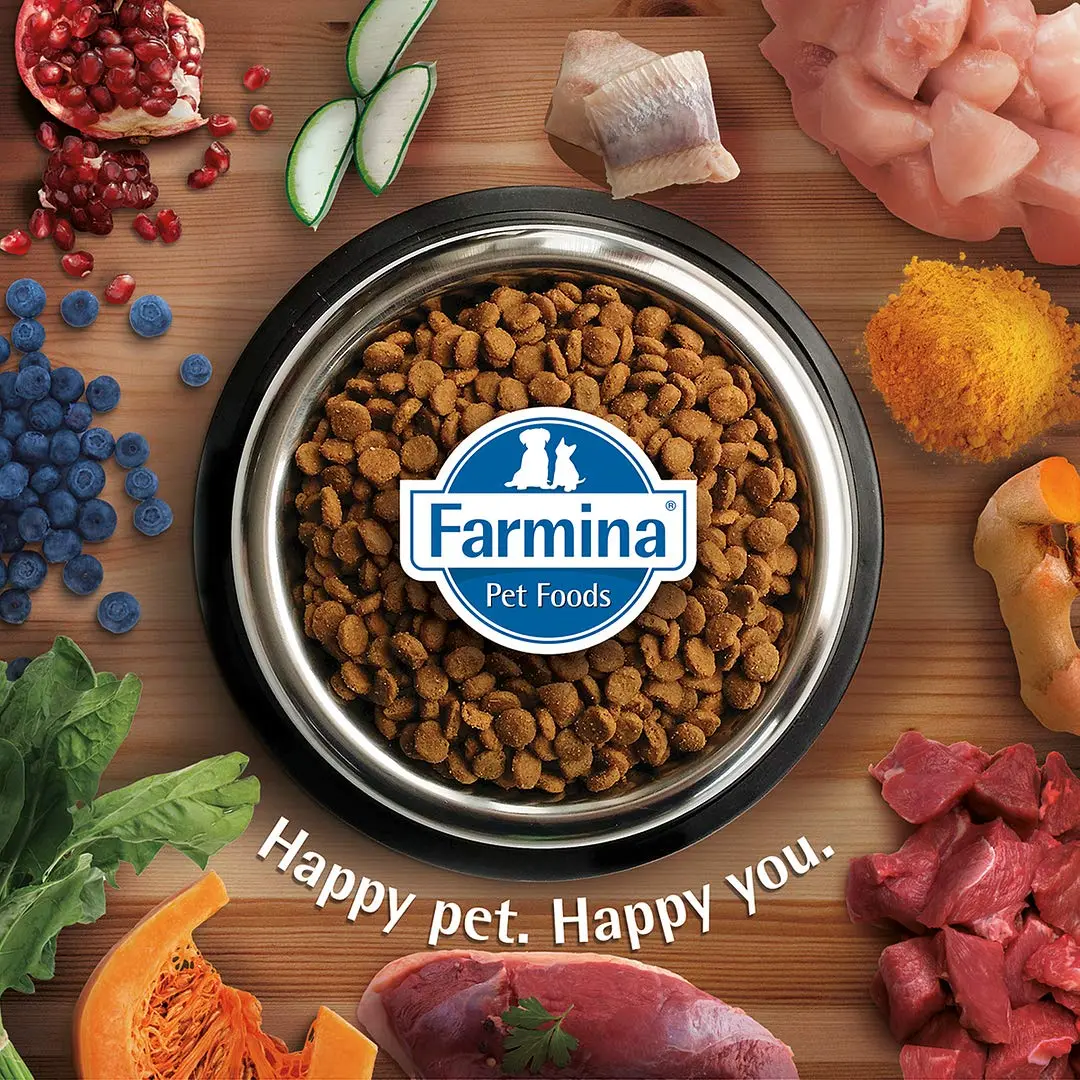 FARMINA N&D Quinoa Skin and Coat Dry Cat Food, Adult, Grain-Free, 5-kg, Quail Coconut and Turmeric - Bild 5